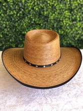 Load image into Gallery viewer, Gallero Palma Verde con Bies